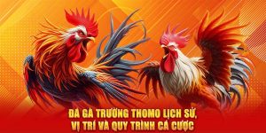 Đá Gà Trường Thomo Lịch Sử, Vị Trí Và Quy Trình Cá Cược